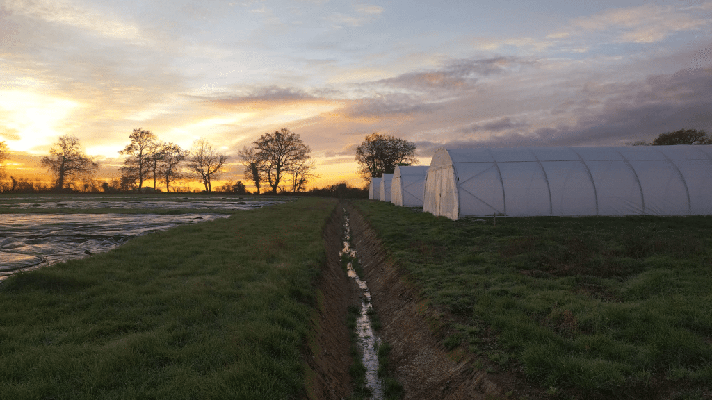 Photo_Montage_Serres Paysage des serres de la micro ferme