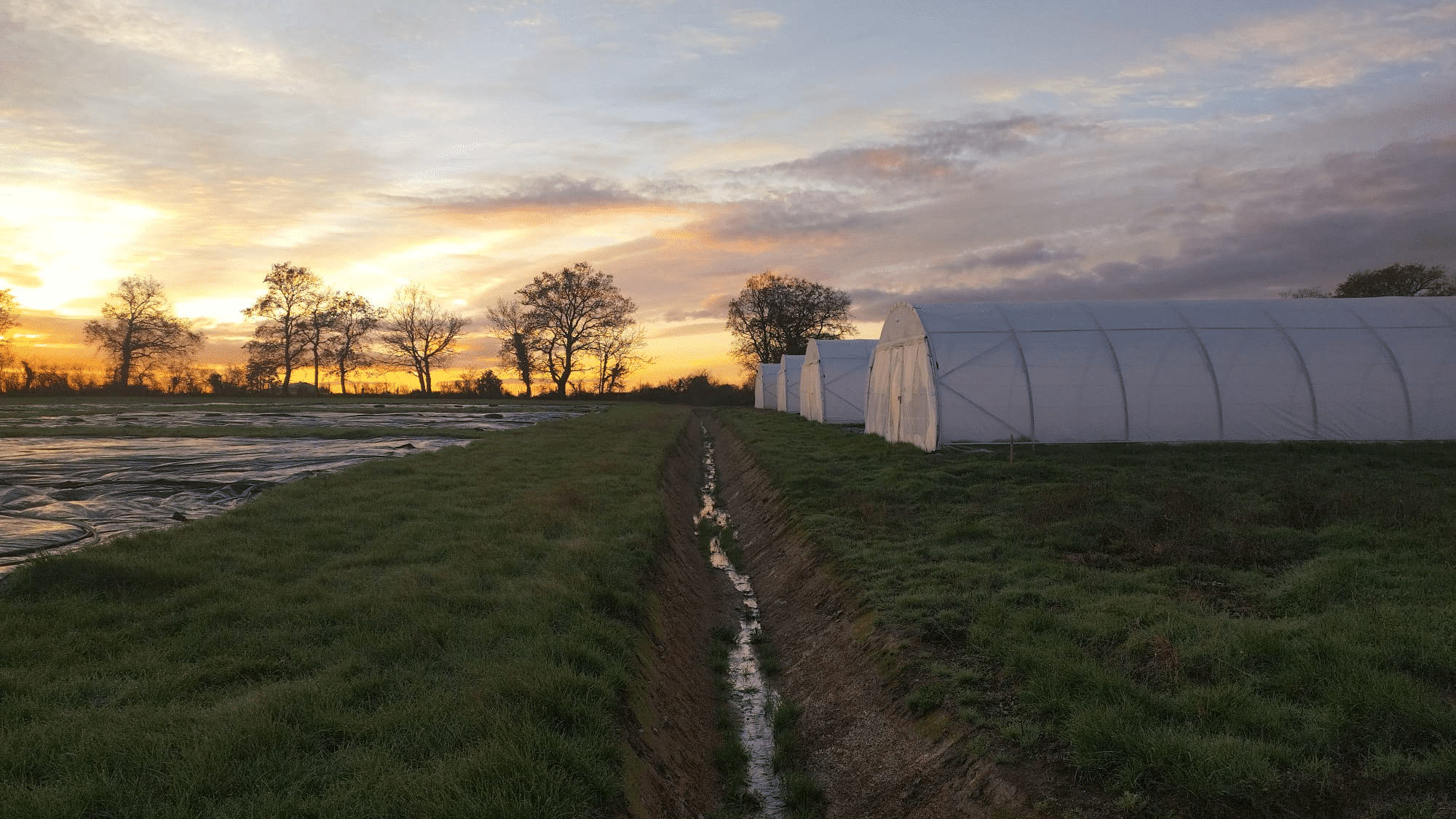 Photo_Montage_Serres