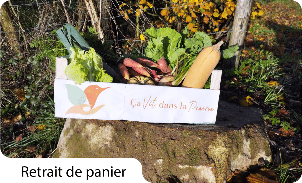 Retrait panier Retrait de panier