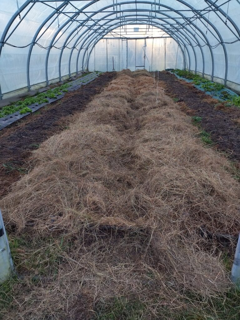 Planches serre paillées