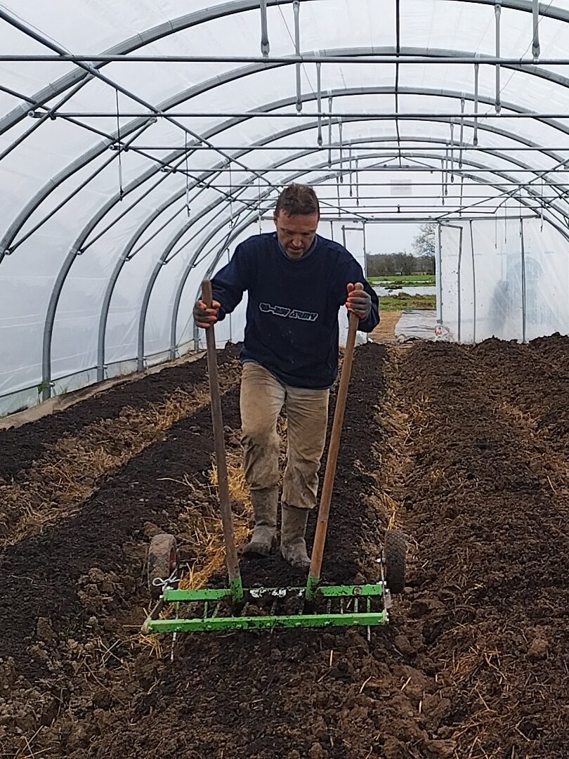 Sam à la Campagnole