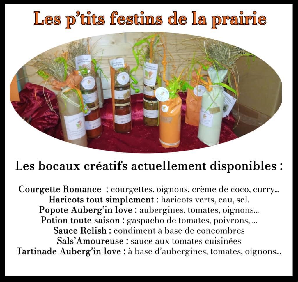 Site_Ptits FestinsDuos_bocaux créatifs