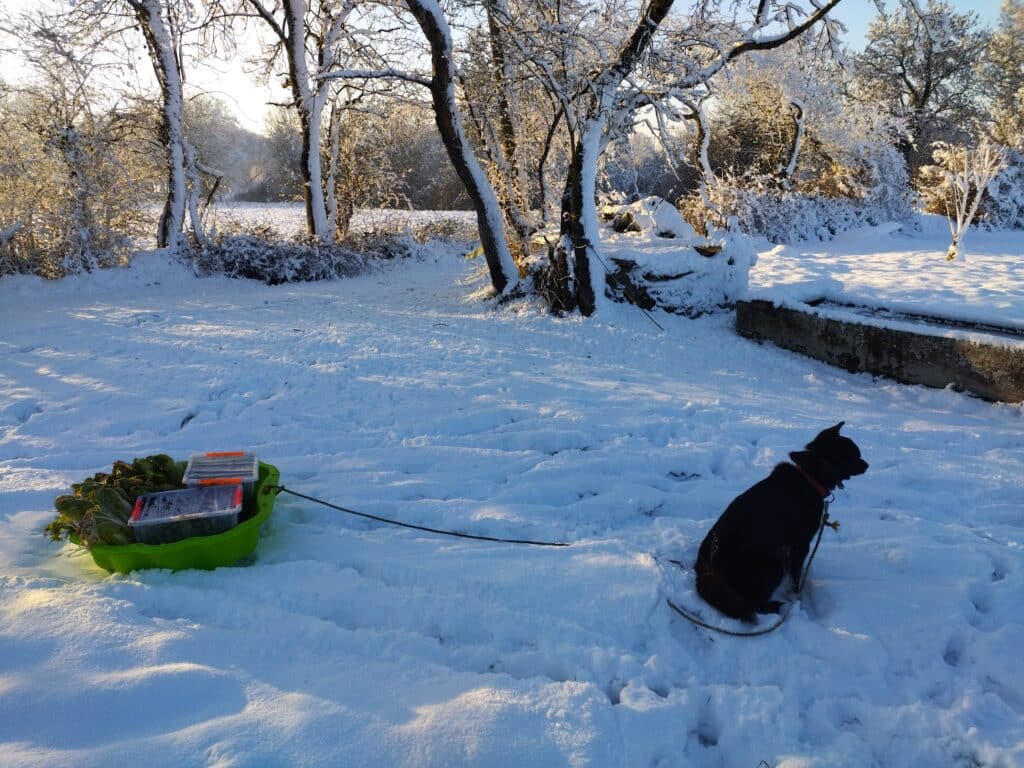 IMG_20260106_162607020